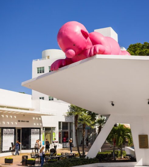 Mr. Pink Takes Flight