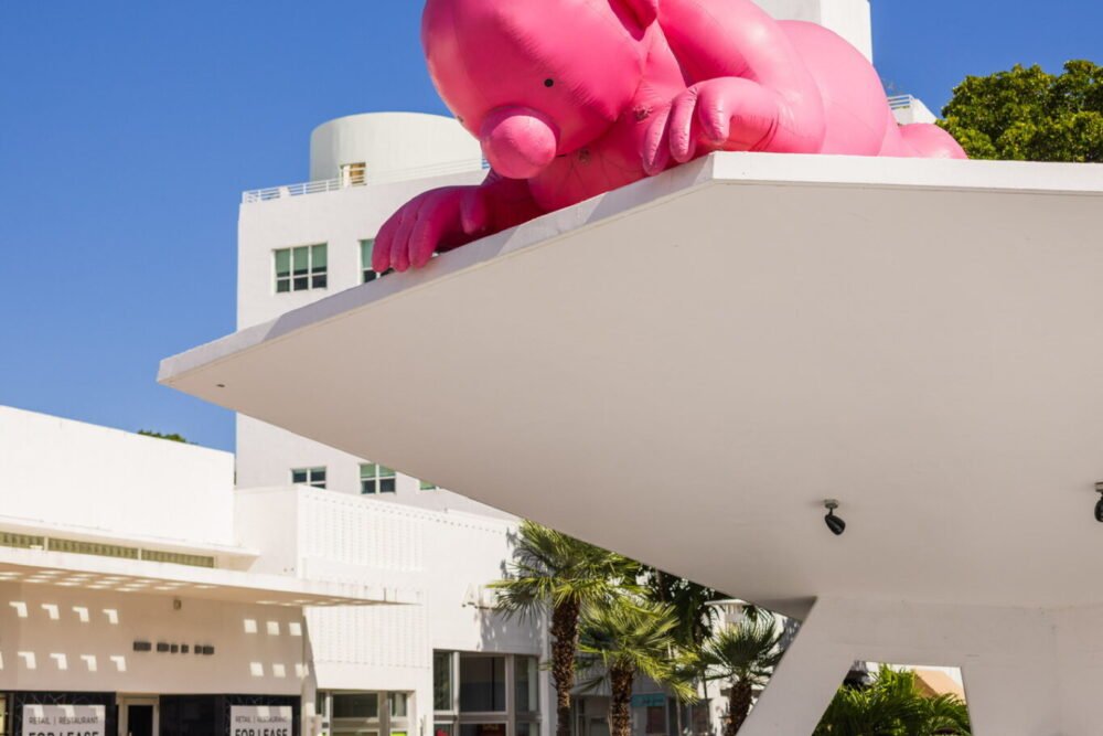 Mr. Pink Takes Flight